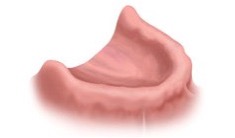 Westwood Dentist, Dentist Westwood, Dr. Philip Aurbach, Old hook Dental